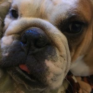 Meet your Posher, Vanessa